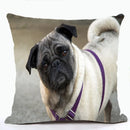 French Bulldog & Pug Dog Pillowcase by Axyaa - Decorative Animal Polyester Cushion Cover