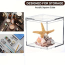 Axyaa Clear Acrylic Cube Storage Box 10x10x10cm Transparent Display Organizer
