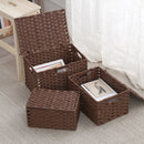 Axyaa Imitation Rattan Woven Storage Box with Lid - Home Organizer Basket