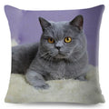 Cute Cat Print Fold Ear Pet Pillowcase for Cozy Home Decor by Axyaa