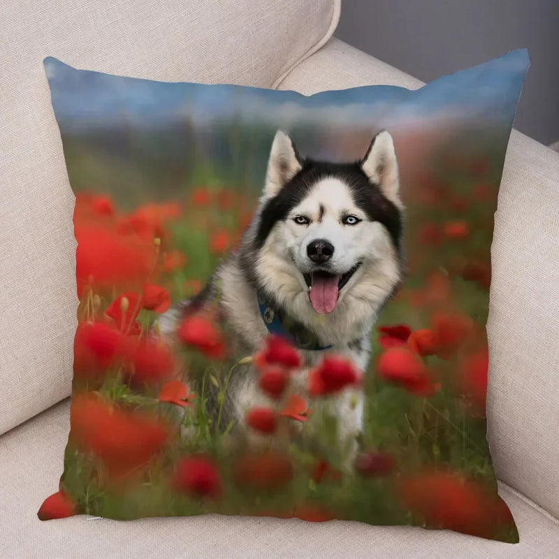 Axyaa Siberian Husky Pet Sofa Cushion Cover - Cute Dog Print Pillowcase Decor