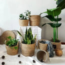 Axyaa Straw Wicker Planter Basket Handmade Flower Pot Storage Laundry Basket Yellow Home Decor