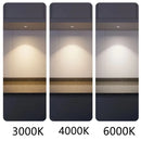 Axyaa 3W LED Spot Light for Jewelry Display Cabinet, Surface Mounted Mini Spotlight