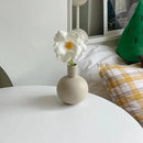 Axyaa Ceramic Vases Dried Flowers Living Room Decor Flower Arrangements TV Cabinets