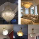 Axyaa Luxury Shell Ceiling Chandelier for Home Decor - Modern & Elegant Lighting Solution