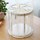 Axya White Round Cake Box Set - Clear Transparent Flower Gift & Storage Box