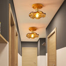 Axyaa Brass Glass LED Ceiling Light Modern Luminaria De Teto