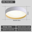 Axyaa Nordic LED Ceiling Lamp for Modern Living Room, Bedroom, Study, and Corridor