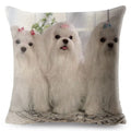 Maltese Dog Pillow Cover by Axyaa - Decorative Cushion Case for Home and Car
