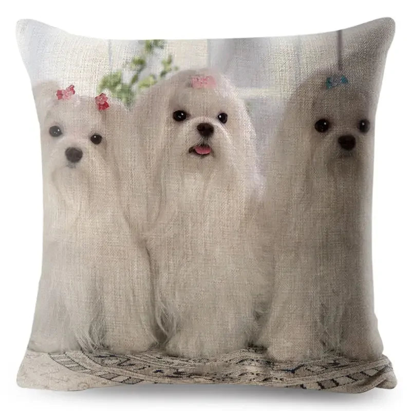 Maltese Dog Pillow Cover by Axyaa - Decorative Cushion Case for Home and Car