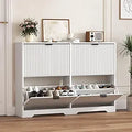 Axyaa 4-Drawer Shoe Cabinet with Adjustable Shelves