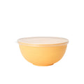 Axyaa 4pcs Bowl Set with Lid & Bento Box for Camping, Picnic, Kitchen Essentials