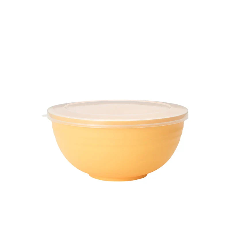Axyaa 4pcs Bowl Set with Lid & Bento Box for Camping, Picnic, Kitchen Essentials