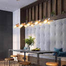 Axyaa Chandelier Dining Room Pendant Lights Indoor Lighting Ceiling Lamps