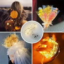Axyaa LED Copper Wire String Lights - 10PCS 2M 20 LEDs for Room & Holiday Decoration