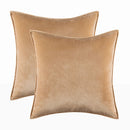 Axyaa Velvet Throw Pillow Cover Set for Sofa Bedroom, Modern Gift Pillowcase
