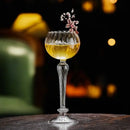 Axya Glass Cocktail Martini Champagne Bar Mix Glass