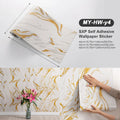Axyaa Meteorite Stone Sxp Self-Adhesive Marble Wall Sticker - Thickened Indoor Roll