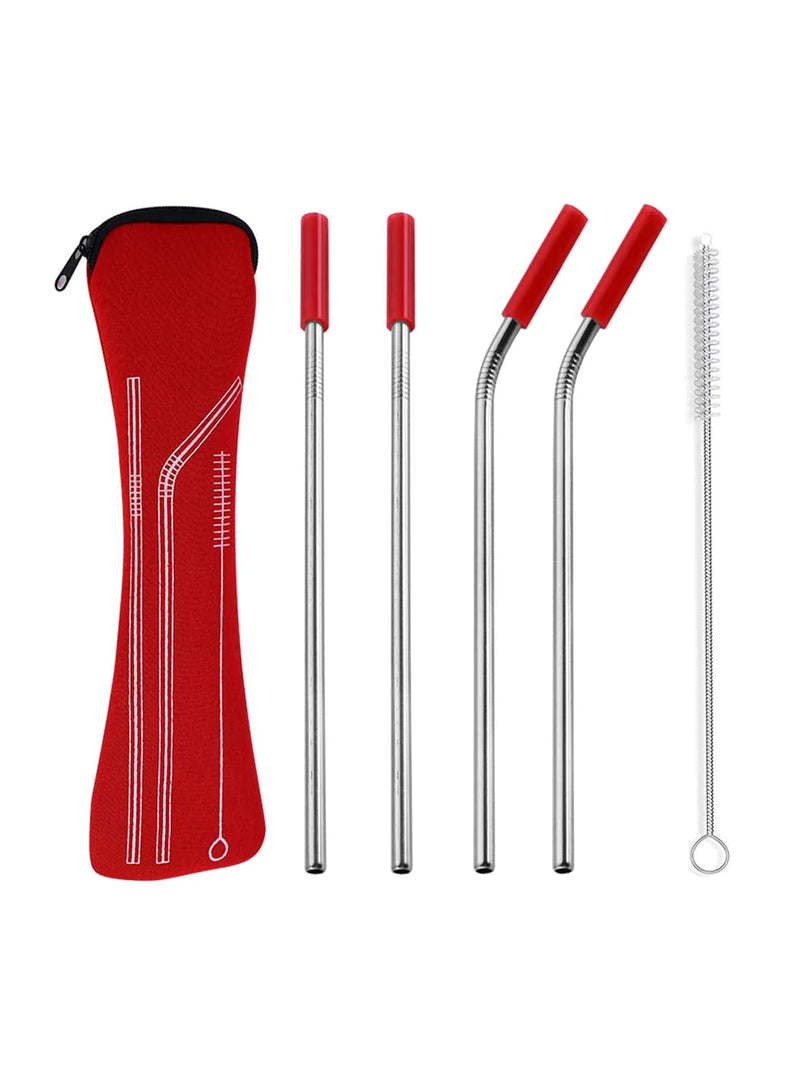 Axyaa Stainless Steel Reusable Straw Set with Cleaning Brush and Cover