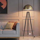 Axyaa Modern Floor Lamps for Living Room, Bedroom, and Home Decor