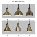 Axyaa 250W Heat Lamp Pendant Light for Food Heating or Holding