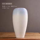 Axyaa Modern Ceramic Vases for Creative Handicrafts and Living Room Decor