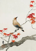 Yuming Yamanaka Cherry Blossoms Canvas Print Wall Art Posters by Axyaa