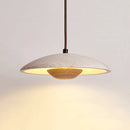 Axyaa Wabi Sabi Stone Pendant Lamps for Japanese Style Apartment Decor