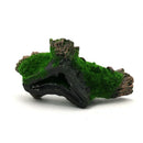 Axyaa Hollow Tree Tunnel Cave for Aquarium Fish Tank Decoration