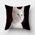 Cute Cat Print Cushion Cover for Sofa Decor by Axyaa
