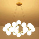 Axyaa Glass Bubble Ball Nordic Luxury Chandelier