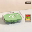 Axyaa Divided Bento Lunch Box | Portable & Leak-proof | Microwave Safe