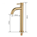 Axyaa Stainless Steel Cold Water Faucet for Bathroom and Kitchen - High Quality