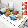 Axyaa Marine Fish Color Absorbent Kitchen Drying Mat