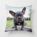 Axyaa French Bulldog Cushion Cover - 45X45CM