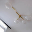 Axyaa Gold Glass LED Chandelier Bauhaus Brass Ceiling Lamp