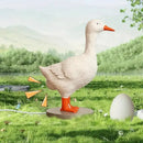 Axyaa Chick Night Light: Funny Easter Decor & Party Ornament