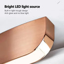 Axyaa Nordic Minimalist Pendant Light for Living Room and Hotel Décor