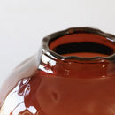 Axyaa Gradient Glass Vase for Flower Arrangements and Home Decor