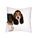 Siberian Husky Dogs Cushion Cover 45X45CM by Axyaa