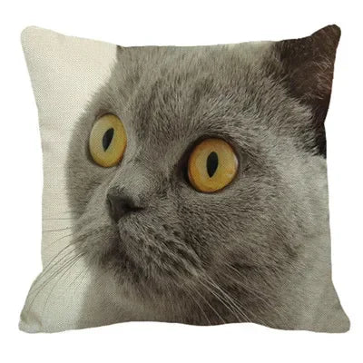 Axyaa British Shorthair Cat Pillow Cover 45X45cm Square Cushion