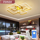 Axyaa LED Ceiling Chandelier Modern Living Room Bedroom Lighting Fixtures
