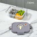 Axyaa Divided Bento Box: Reusable Leak Proof Lunch Container