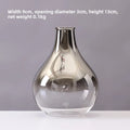 Axyaa Silver Gradient Glass Vase: Creative Terrarium & Jewelry Holder