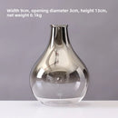 Axyaa Silver Gradient Glass Vase: Creative Terrarium & Jewelry Holder