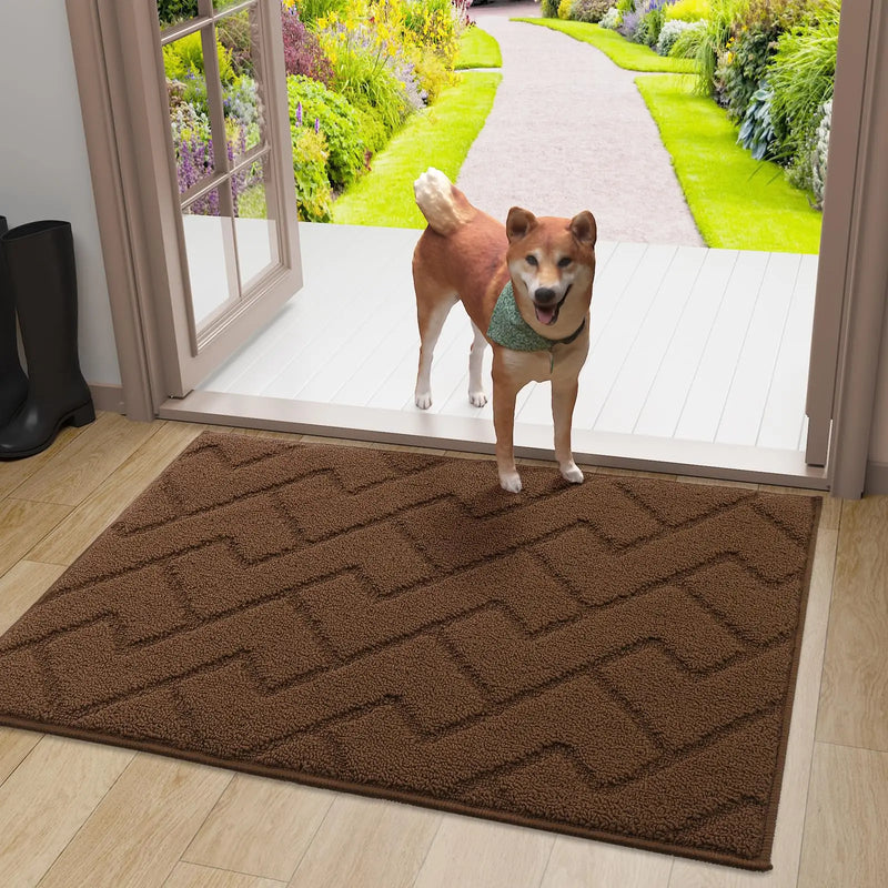 Axyaa Front Entry Indoor Doormat - Washable Non-Slip Absorbent Resist Dirt Mat