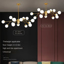 Axyaa Nordic Magic Bean Chandelier Pendant Lights for Luxury Home Decor