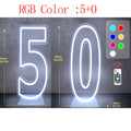 Axyaa Neon Double Digit Acrylic Digital Light for Birthday Party