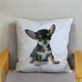 Chihuahua Dog Printed Cushion Cover by Axyaa for Home Decor