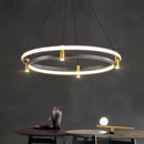 Axyaa Nordic Circular LED Pendant Lights for Home Decoration